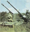 gepard_Allemagne_08.jpg (80901 bytes)